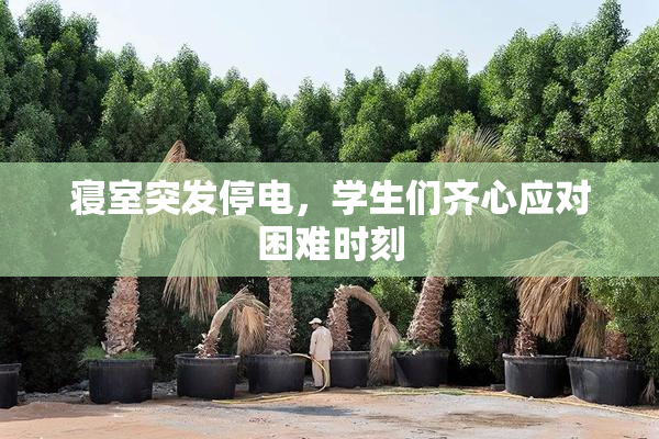 寝室突发停电，学生们齐心应对困难时刻