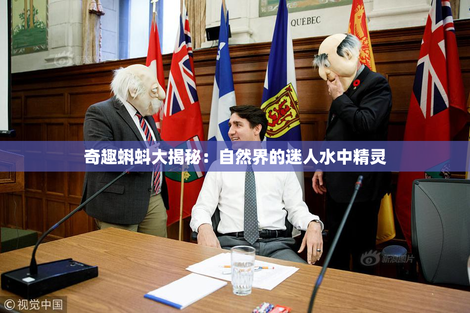 奇趣蝌蚪大揭秘：自然界的迷人水中精灵