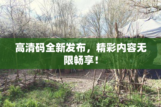 高清码全新发布，精彩内容无限畅享！