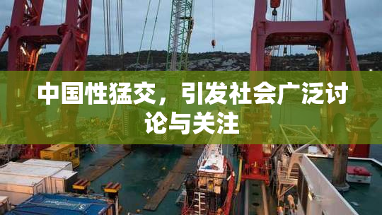 中国性猛交，引发社会广泛讨论与关注