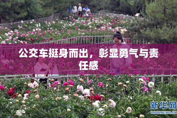 公交车挺身而出，彰显勇气与责任感