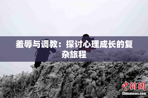 羞辱与调教：探讨心理成长的复杂旅程