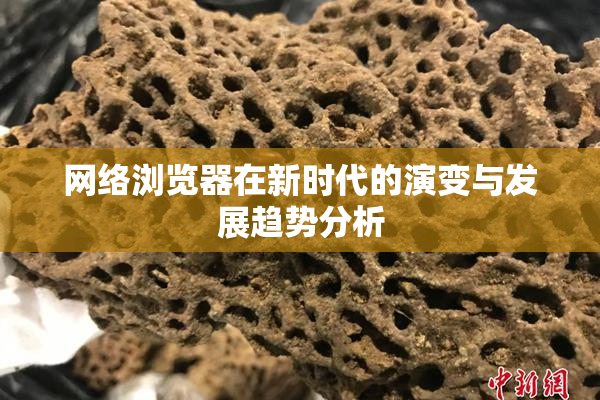 网络浏览器在新时代的演变与发展趋势分析