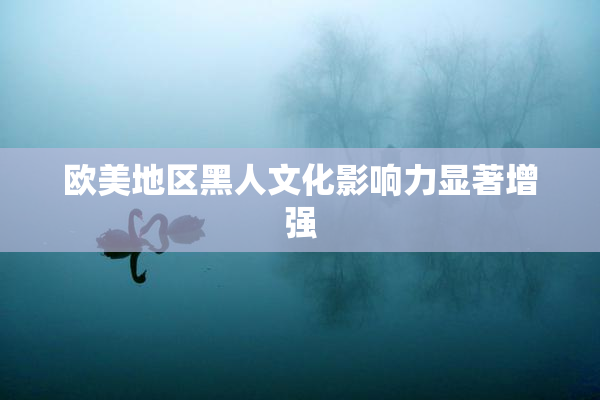 欧美地区黑人文化影响力显著增强