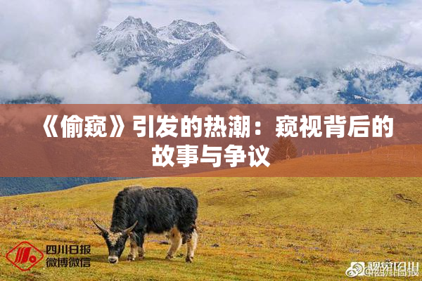 《偷窥》引发的热潮：窥视背后的故事与争议