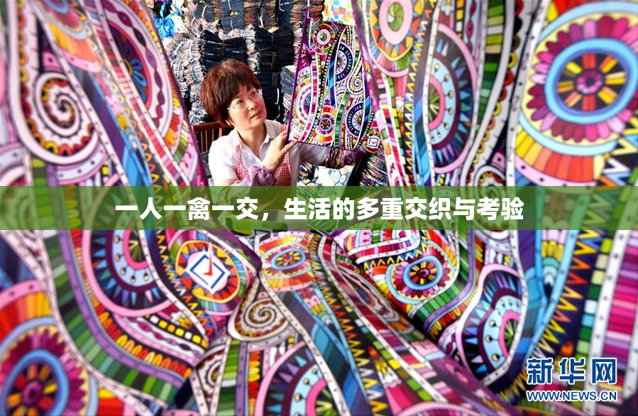 一人一禽一交，生活的多重交织与考验