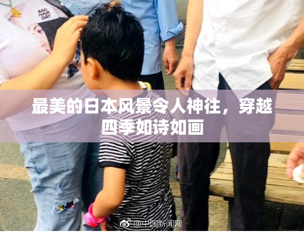 最美的日本风景令人神往，穿越四季如诗如画