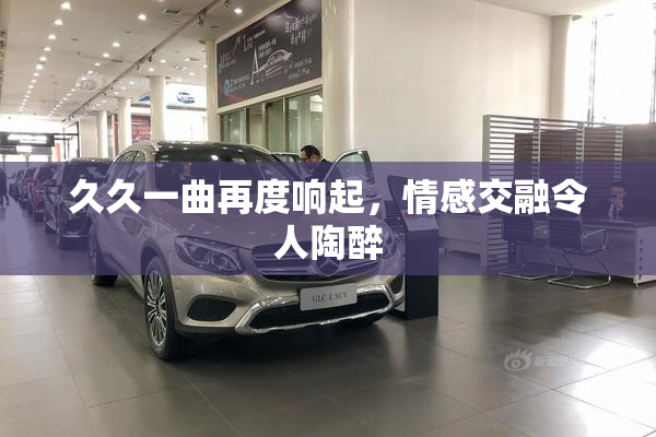 久久一曲再度响起，情感交融令人陶醉