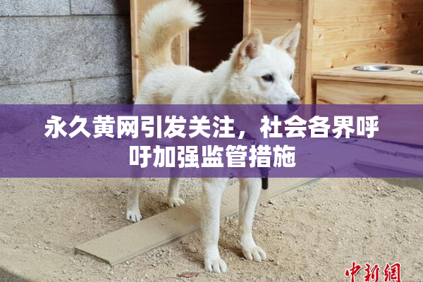 永久黄网引发关注，社会各界呼吁加强监管措施