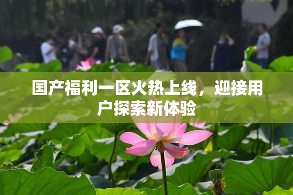 国产福利一区火热上线，迎接用户探索新体验