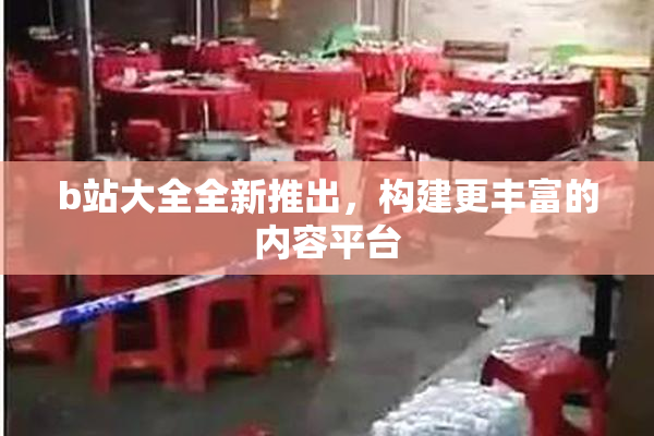 b站大全全新推出，构建更丰富的内容平台