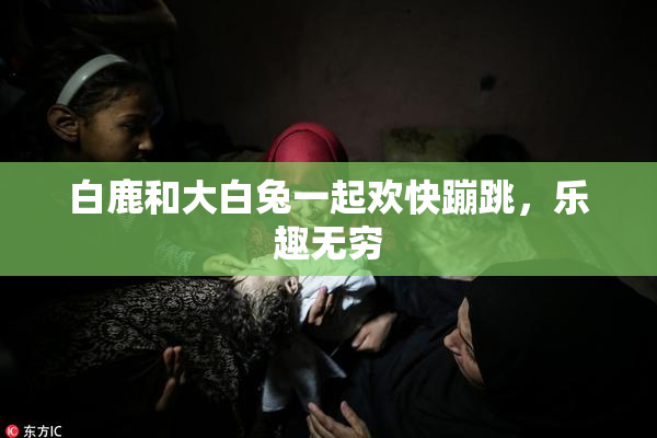 白鹿和大白兔一起欢快蹦跳，乐趣无穷