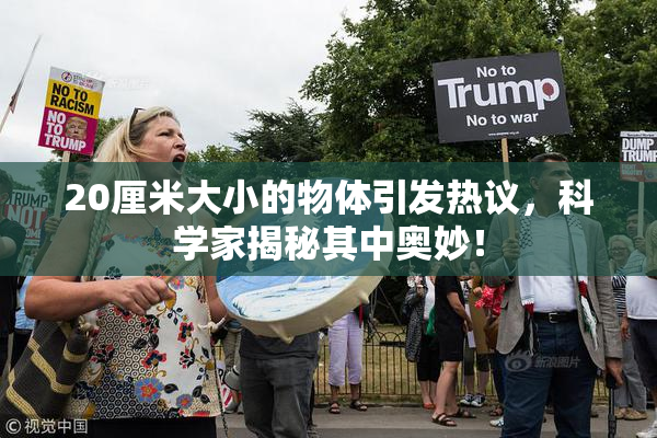 20厘米大小的物体引发热议，科学家揭秘其中奥妙！
