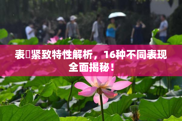 表妺紧致特性解析，16种不同表现全面揭秘！