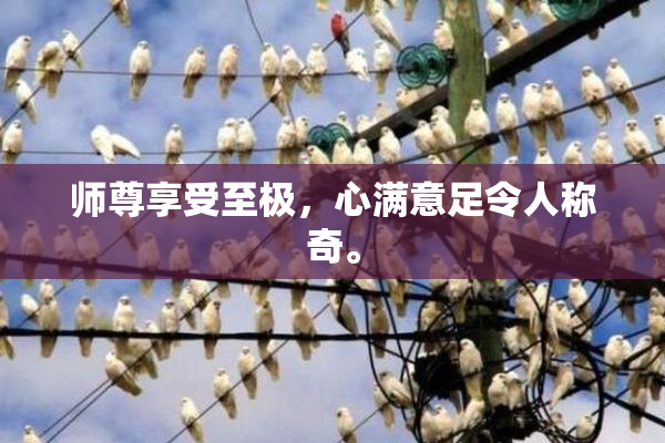 师尊享受至极，心满意足令人称奇。