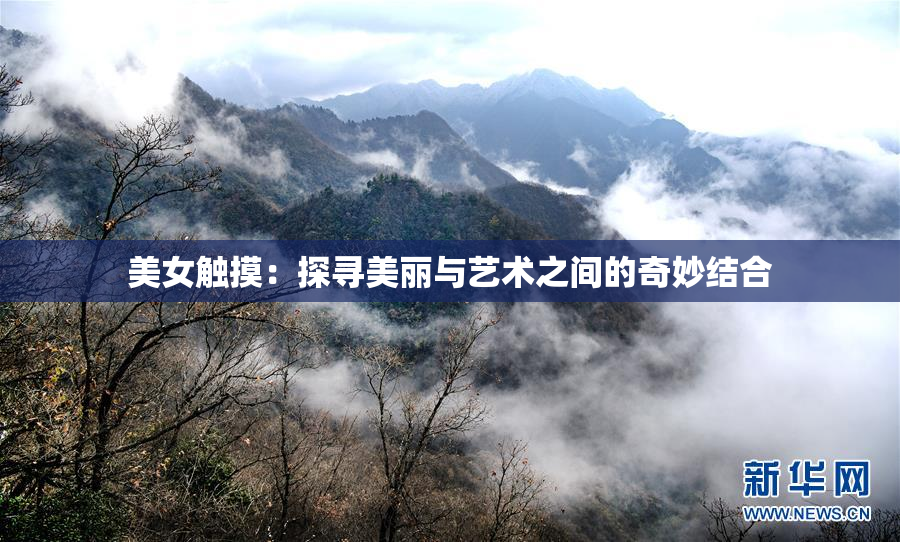 美女触摸：探寻美丽与艺术之间的奇妙结合