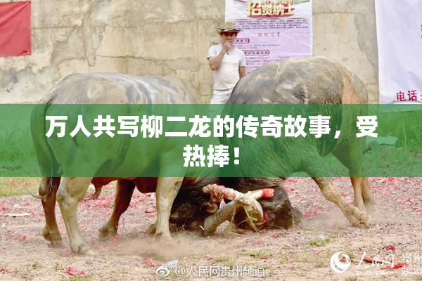 万人共写柳二龙的传奇故事，受热捧！