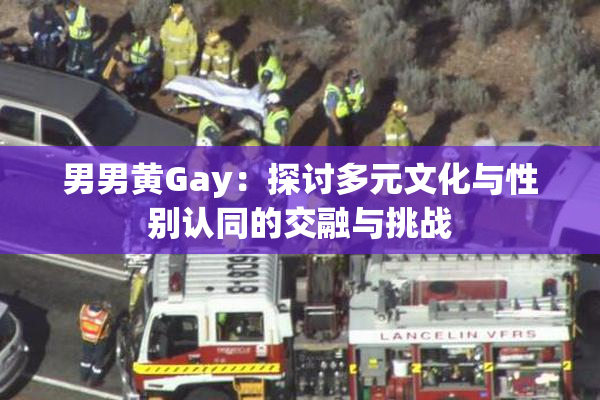 男男黄Gay：探讨多元文化与性别认同的交融与挑战