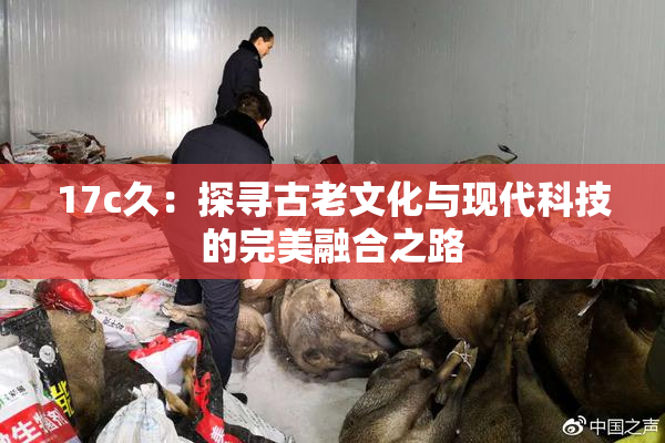 17c久：探寻古老文化与现代科技的完美融合之路
