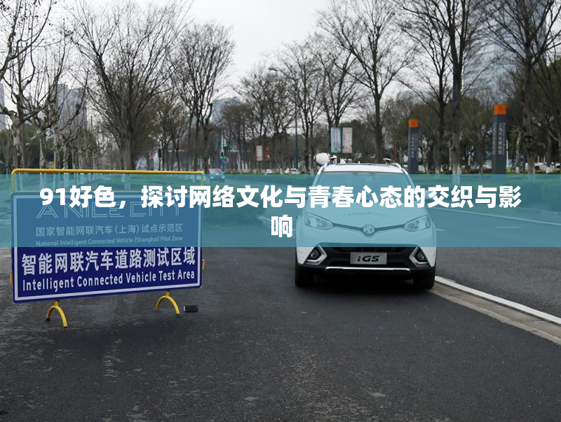91好色，探讨网络文化与青春心态的交织与影响