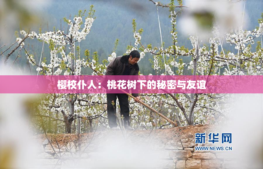 樱校仆人：桃花树下的秘密与友谊