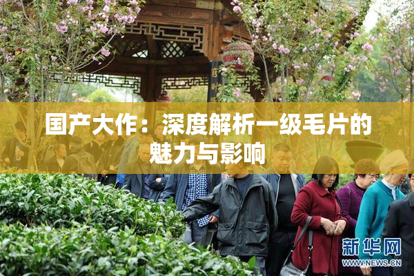 国产大作：深度解析一级毛片的魅力与影响