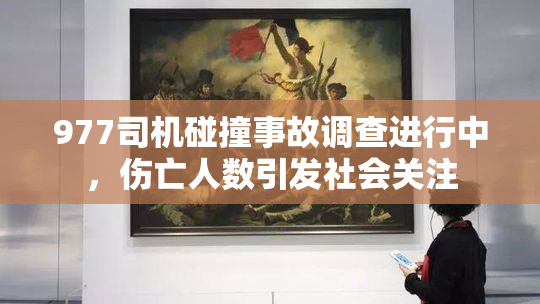 977司机碰撞事故调查进行中，伤亡人数引发社会关注
