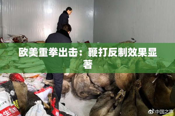 欧美重拳出击：鞭打反制效果显著