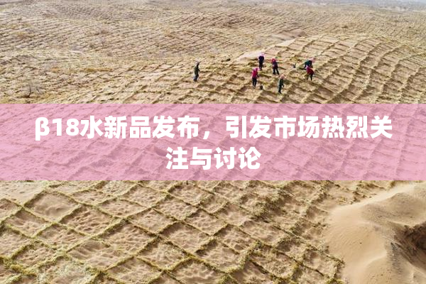β18水新品发布，引发市场热烈关注与讨论