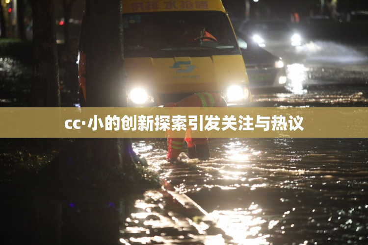 cc·小的创新探索引发关注与热议