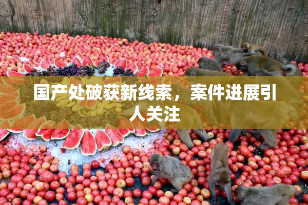 国产处破获新线索，案件进展引人关注