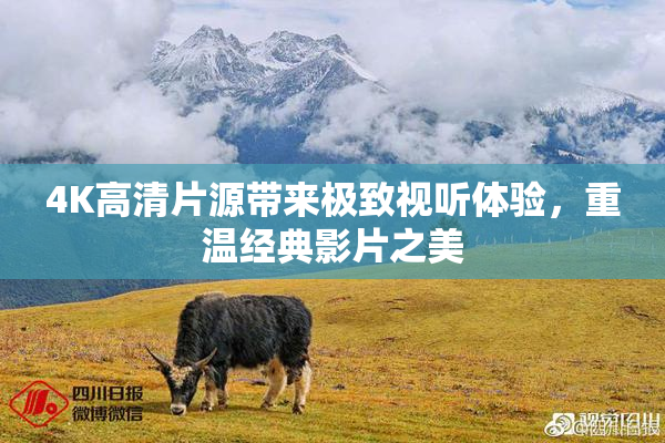 4K高清片源带来极致视听体验，重温经典影片之美