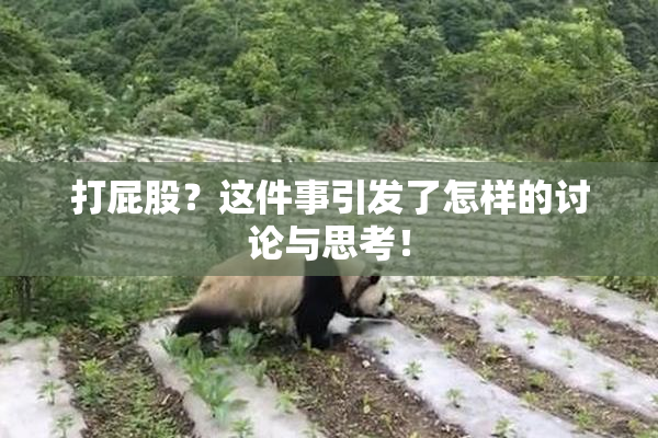打屁股？这件事引发了怎样的讨论与思考！