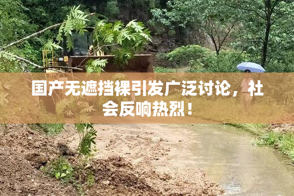国产无遮挡裸引发广泛讨论，社会反响热烈！