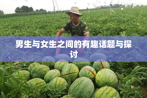 男生与女生之间的有趣话题与探讨