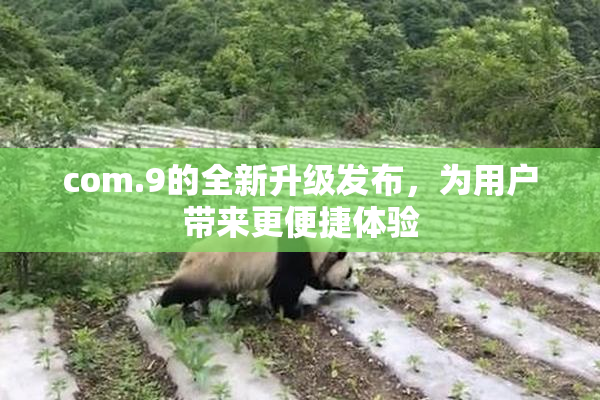 com.9的全新升级发布，为用户带来更便捷体验