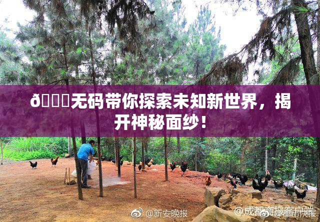 🔞无码带你探索未知新世界，揭开神秘面纱！