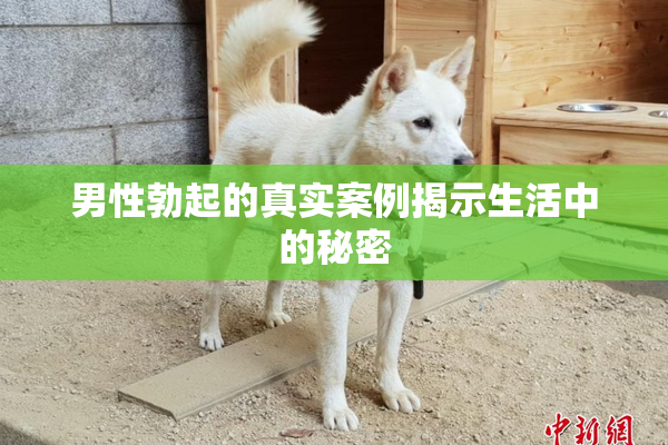 男性勃起的真实案例揭示生活中的秘密