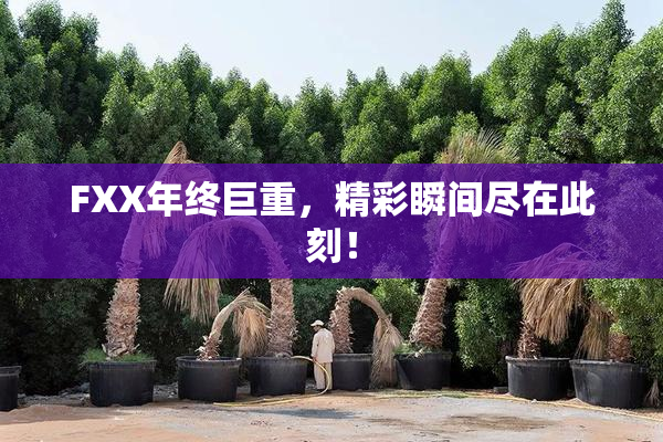 FXX年终巨重，精彩瞬间尽在此刻！