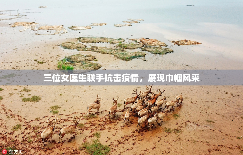 三位女医生联手抗击疫情，展现巾帼风采