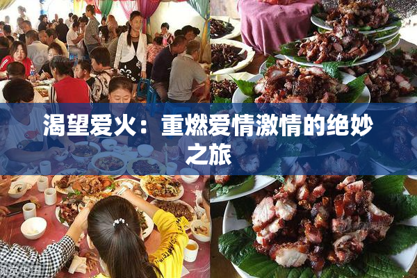 渴望爱火：重燃爱情激情的绝妙之旅