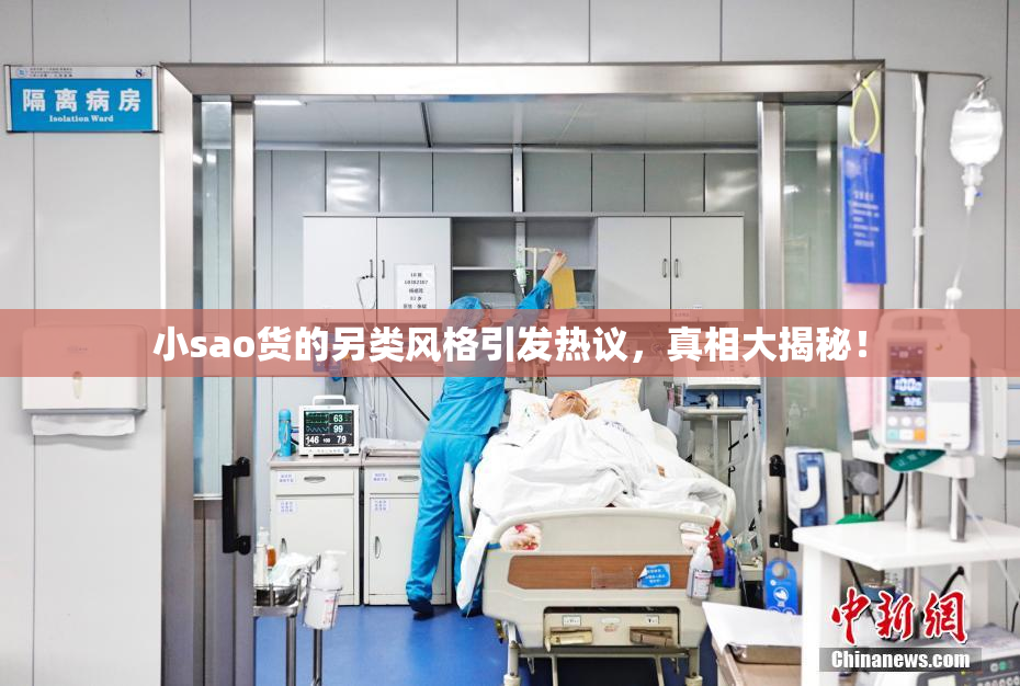 小sao货的另类风格引发热议，真相大揭秘！