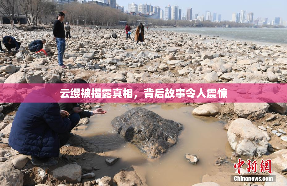 云缨被揭露真相，背后故事令人震惊