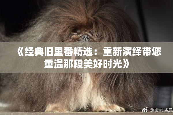 《经典旧里番精选：重新演绎带您重温那段美好时光》