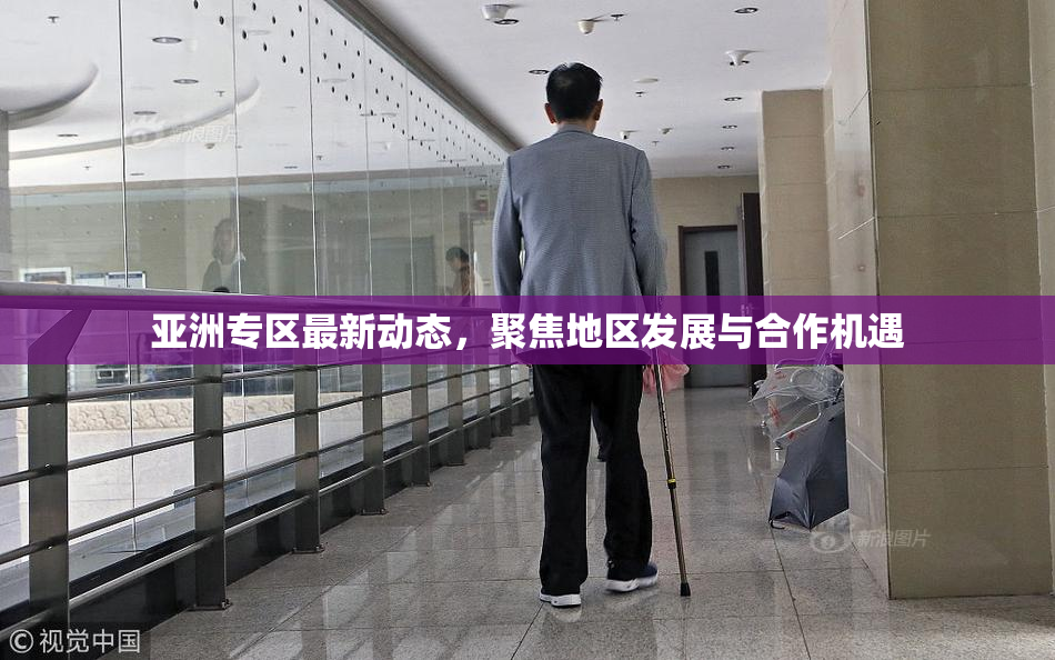 亚洲专区最新动态，聚焦地区发展与合作机遇