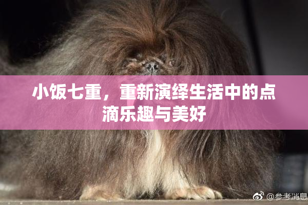 小饭七重，重新演绎生活中的点滴乐趣与美好