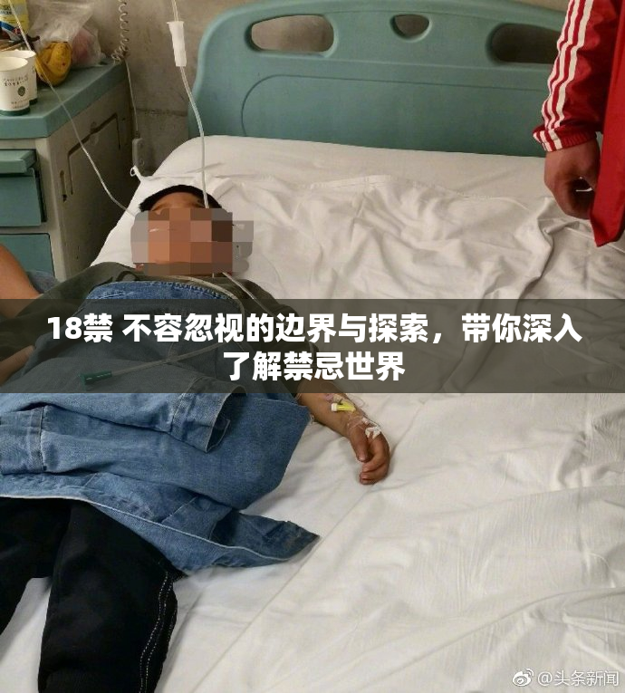 18禁 不容忽视的边界与探索，带你深入了解禁忌世界