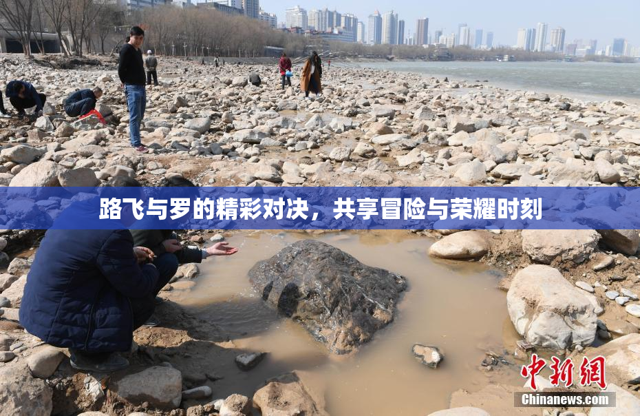 路飞与罗的精彩对决，共享冒险与荣耀时刻
