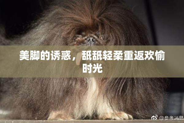 美脚的诱惑，舐舐轻柔重返欢愉时光