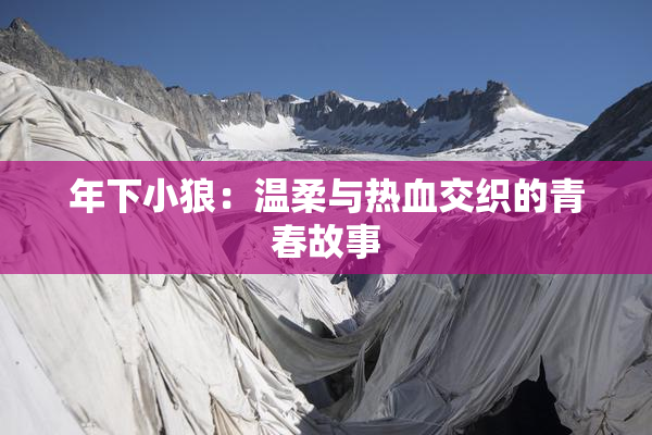 年下小狼：温柔与热血交织的青春故事
